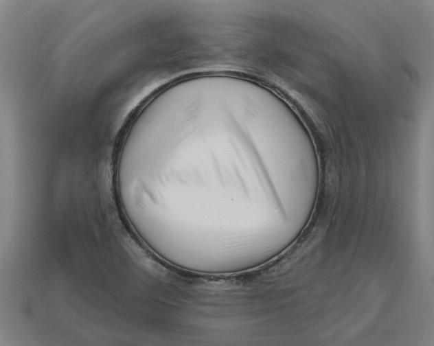 X0000113531460200910161339