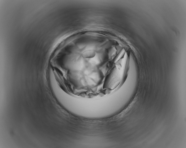 X0000113531461200910161339