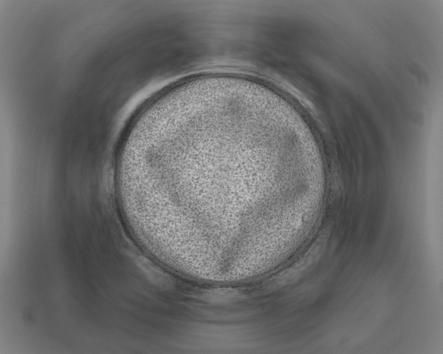 X0000113531462200910161339