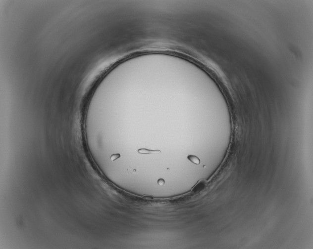 X0000113531464200910161339