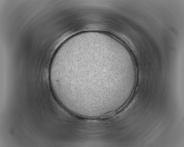 X0000113531465200910161339