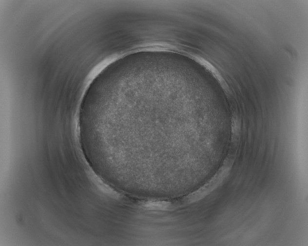 X0000113531466200910161339