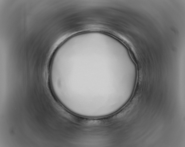 X0000113531467200910161339