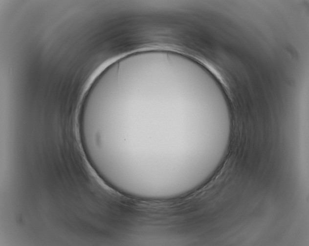 X0000113531468200910161339