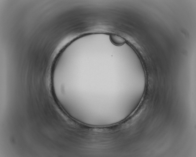 X0000113531469200910161339