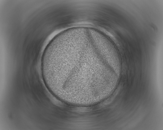 X0000113531470200910161339