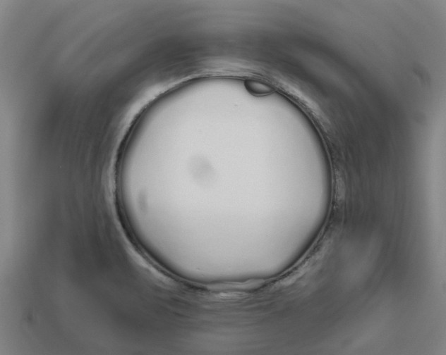 X0000113531471200910161339