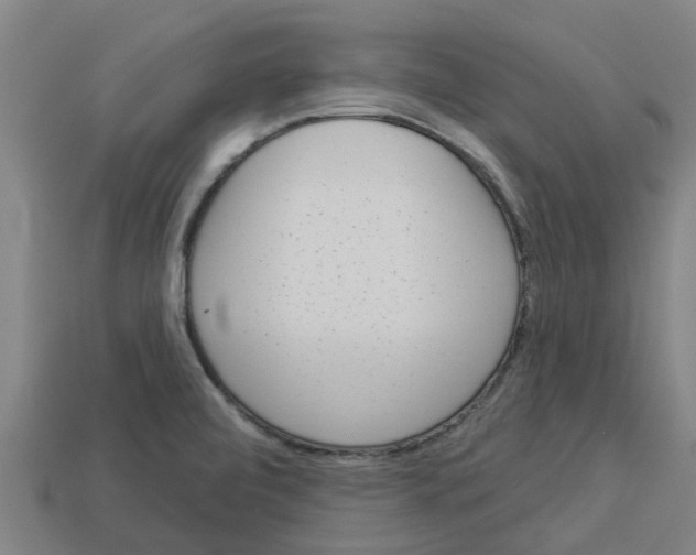 X0000113531472200910161339