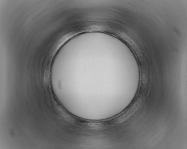 X0000113531473200910161338