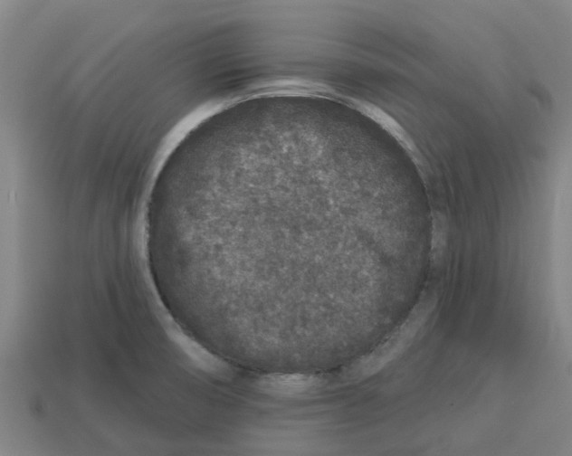 X0000113531474200910161338