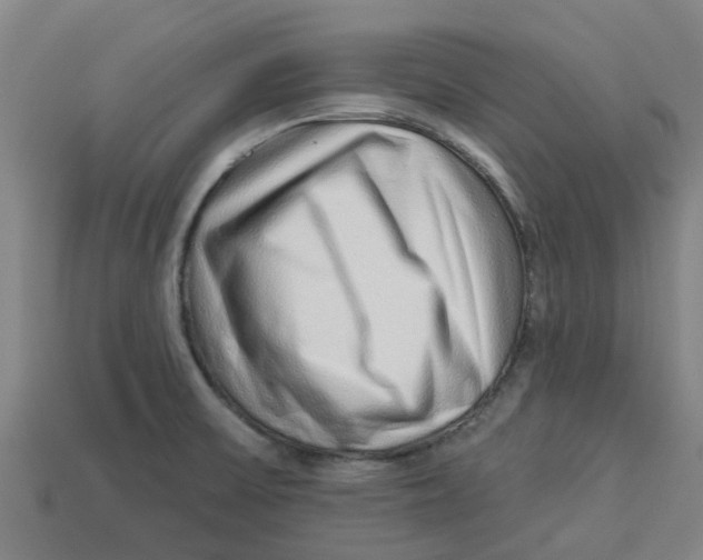 X0000113531475200910161338