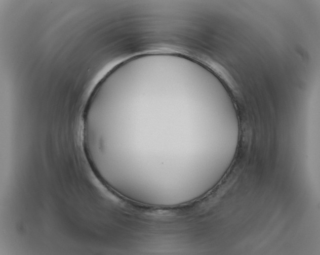 X0000113531476200910161338