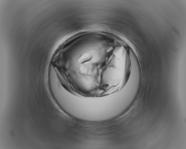 X0000113531477200910161338