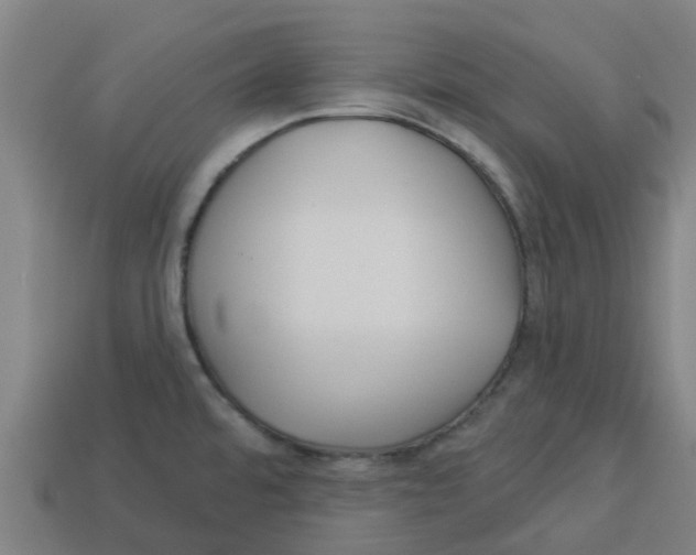 X0000113531480200910161338