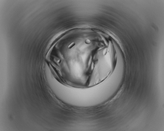 X0000113531481200910161338