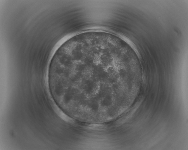 X0000113531482200910161338