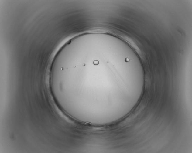 X0000113531484200910161338