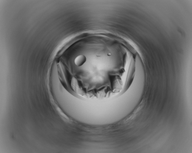 X0000113531485200910161338