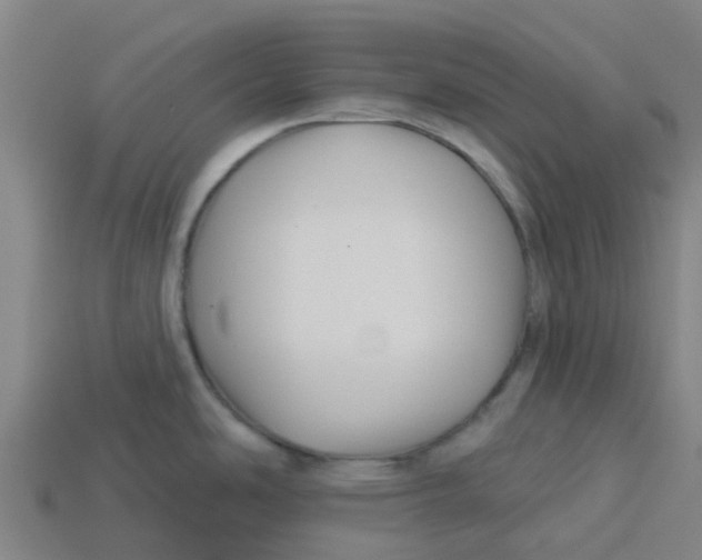 X0000113531486200910161338