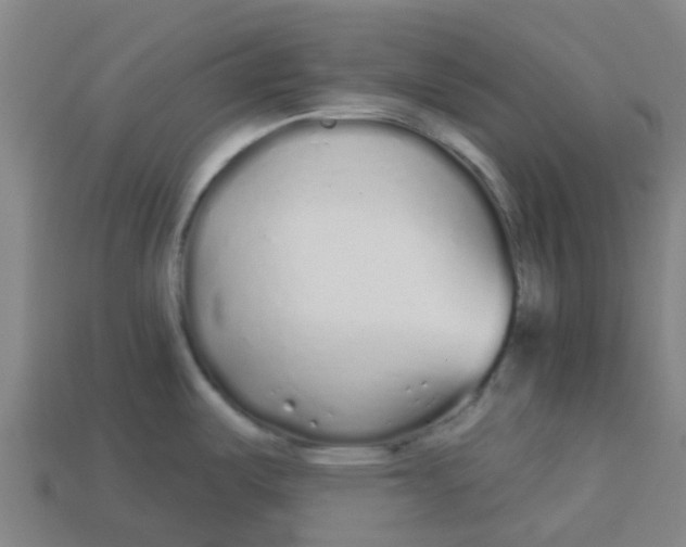 X0000113531487200910161338