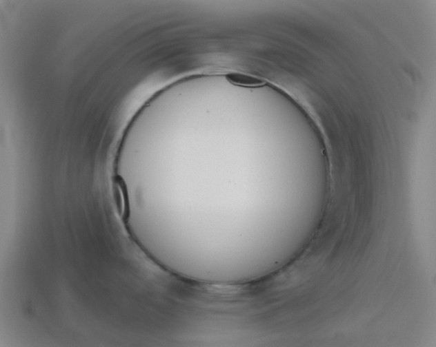 X0000113531488200910161338