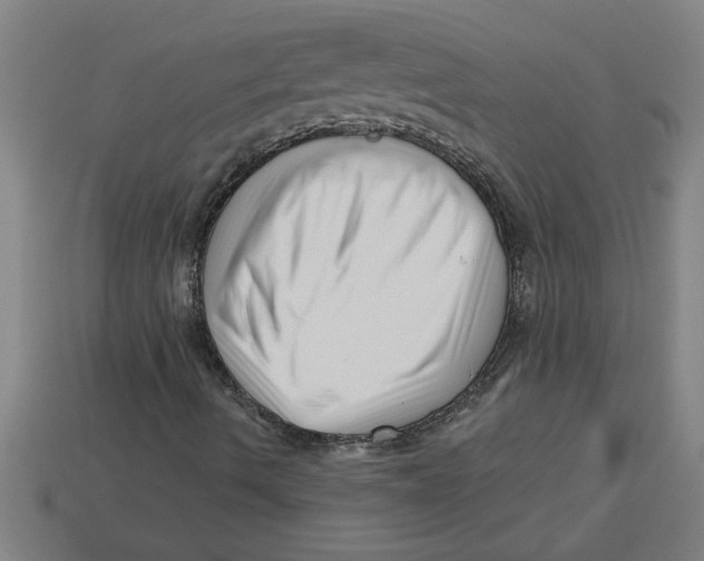 X0000113531490200910161337