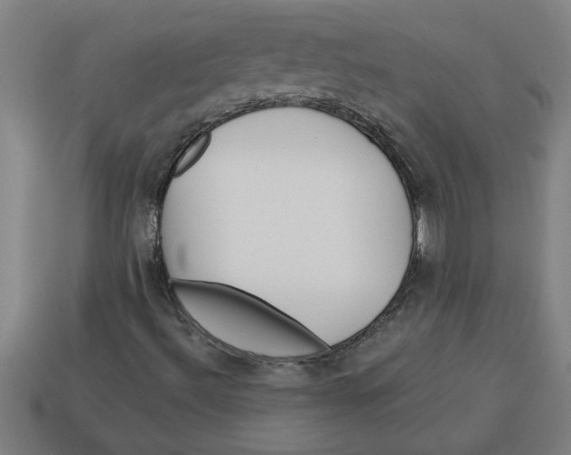 X0000113531492200910161337