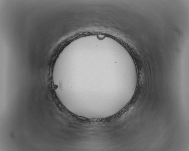 X0000113531494200910161337