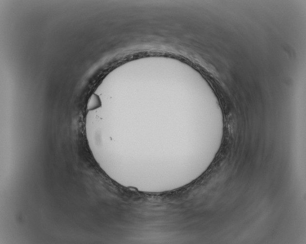 X0000113531495200910161337