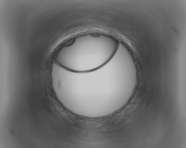 X0000113531496200910161338