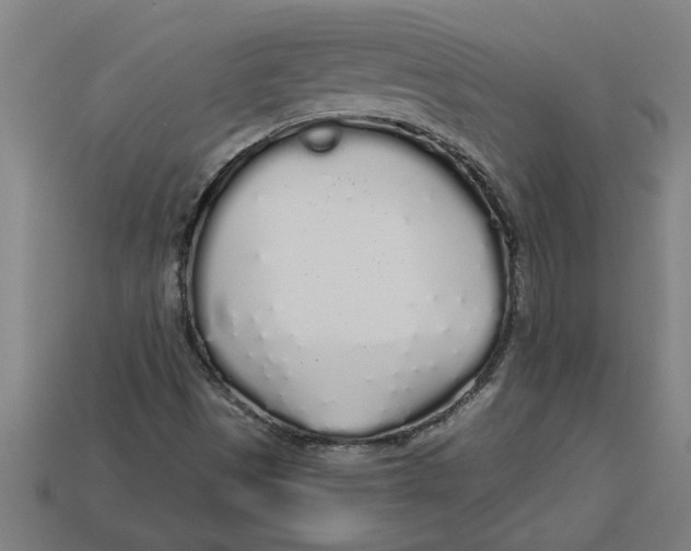 X0000113531497200910161338