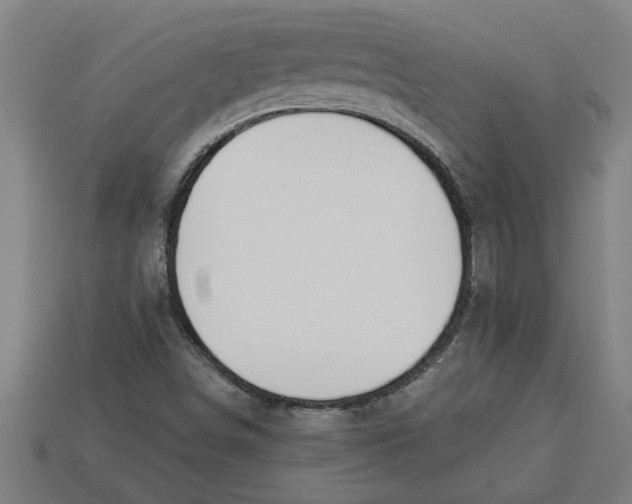 X0000113531498200910161338