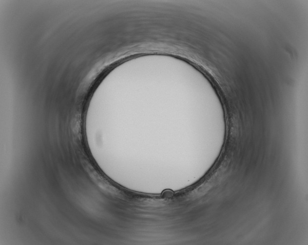 X0000113531499200910161338