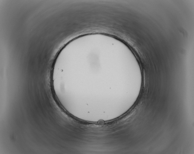 X0000113531500200910161338