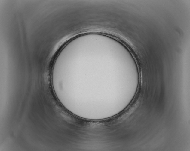 X0000113531501200910161338