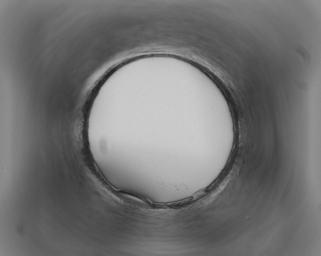 X0000113531502200910161338