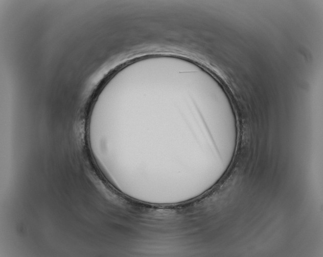 X0000113531503200910161338