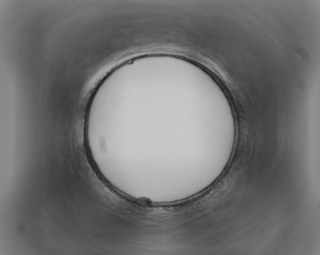 X0000113531504200910161338