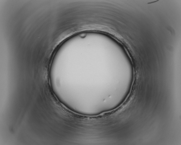 X0000113531505200910161338