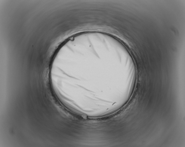 X0000113531507200910161338