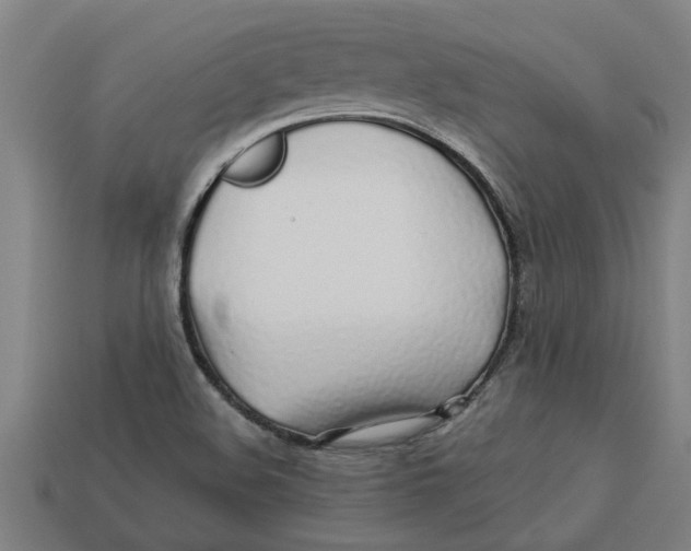 X0000113531508200910161338