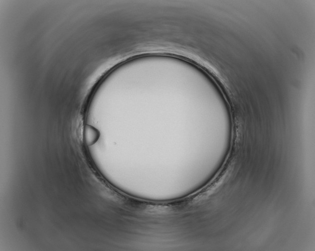 X0000113531509200910161338