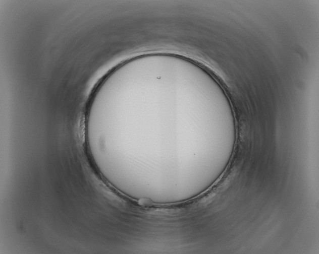 X0000113531510200910161338