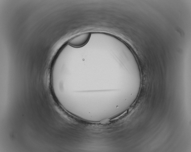 X0000113531511200910161338