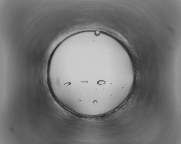 X0000113531512200910161338