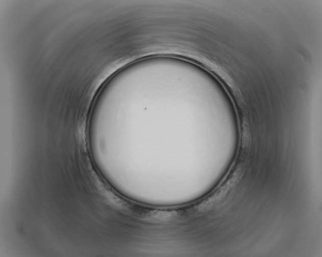 X0000113531513200910161338