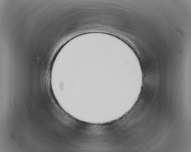 X0000113531514200910161338