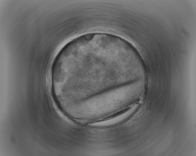 X0000113531515200910161338