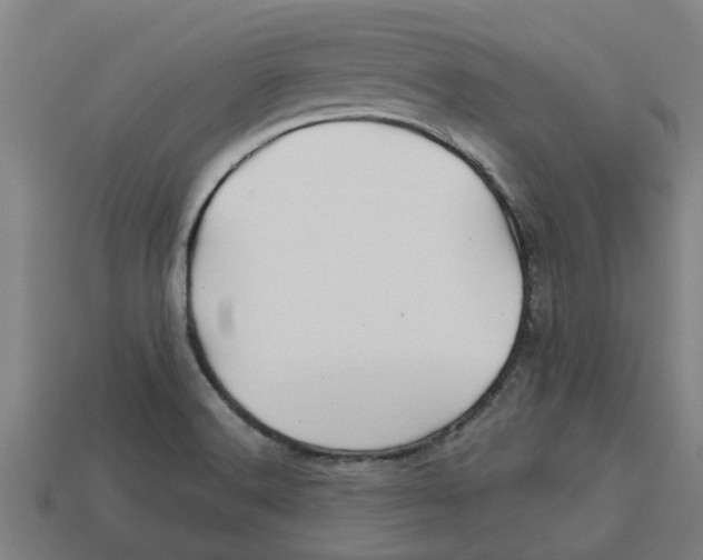 X0000113531516200910161338