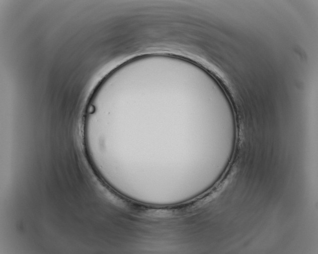 X0000113531517200910161338